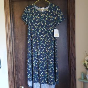 Xxs lularoe carly